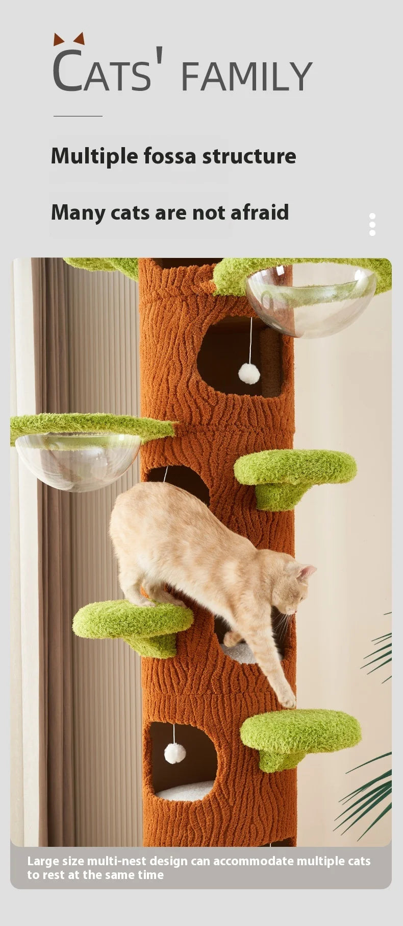 Cat Tree Adjustable Height Integrated Nest Climbing