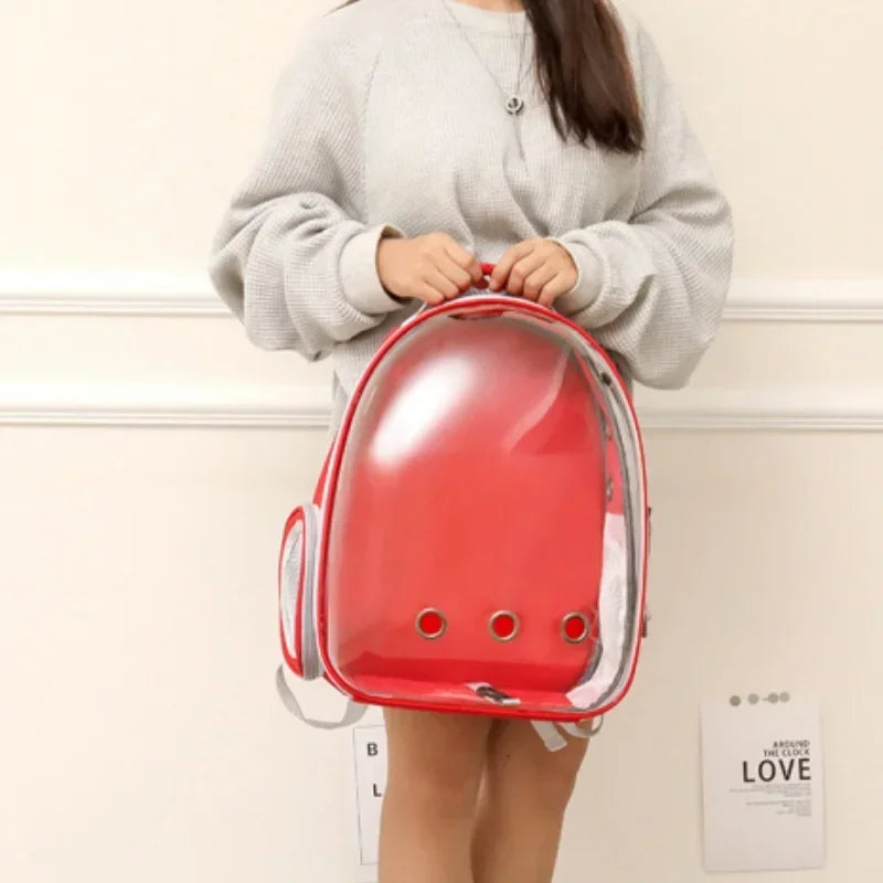 S3c63677ce856432797a39794eecccbcbK